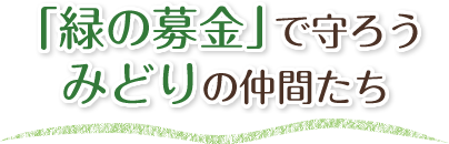 「緑の募金」で守ろう　みどりの仲間たち